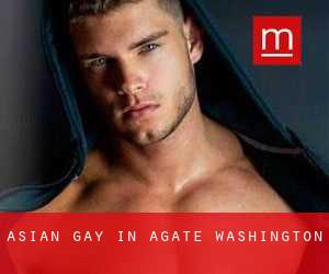 Asian Gay in Agate (Washington)