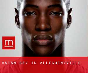 Asian Gay in Alleghenyville