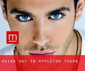 Asian Gay in Appleton Thorn