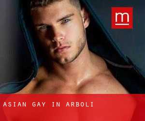Asian Gay in Arbolí