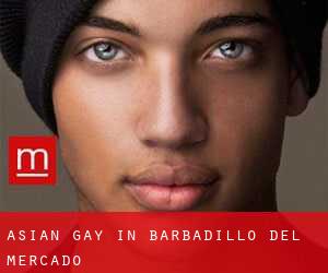 Asian Gay in Barbadillo del Mercado