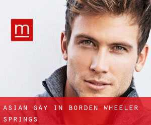 Asian Gay in Borden Wheeler Springs
