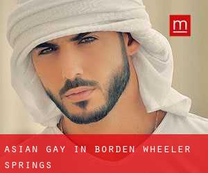 Asian Gay in Borden Wheeler Springs