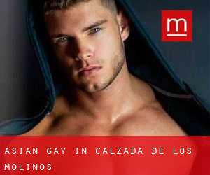 Asian Gay in Calzada de los Molinos