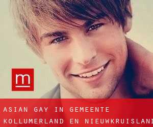 Asian Gay in Gemeente Kollumerland en Nieuwkruisland
