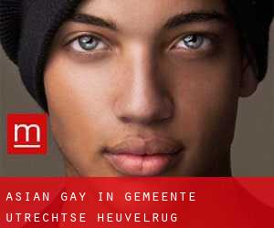 Asian Gay in Gemeente Utrechtse Heuvelrug