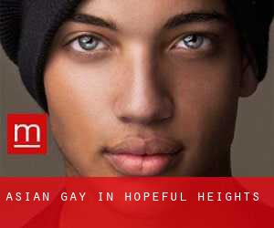 Asian Gay in Hopeful Heights