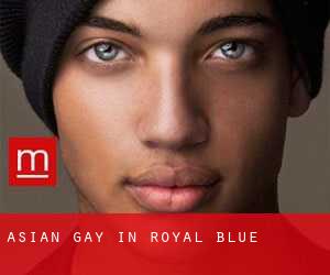 Asian Gay in Royal Blue