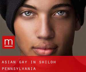 Asian Gay in Shiloh (Pennsylvania)
