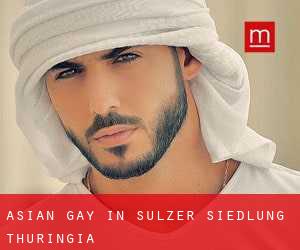 Asian Gay in Sulzer Siedlung (Thuringia)