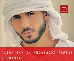Asian Gay in Wedgewood Forest (Virginia)