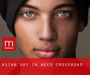 Asian Gay in Weed Crossroad
