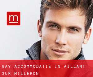 Gay Accommodatie in Aillant-sur-Milleron