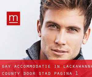 Gay Accommodatie in Lackawanna County door stad - pagina 1