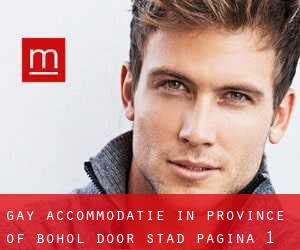 Gay Accommodatie in Province of Bohol door stad - pagina 1