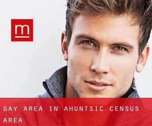 Gay Area in Ahuntsic (census area)