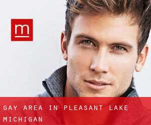 Gay Area in Pleasant Lake (Michigan)