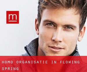 Homo-Organisatie in Flowing Spring