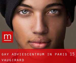 Gay Adviescentrum in Paris 15 Vaugirard