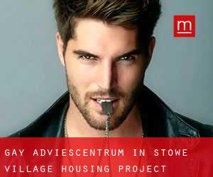 Gay Adviescentrum in Stowe Village Housing Project