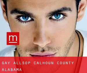 gay Allsop (Calhoun County, Alabama)