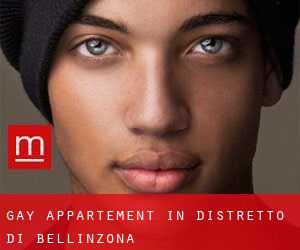 Gay Appartement in Distretto di Bellinzona