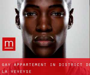 Gay Appartement in District de la Veveyse