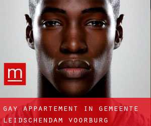 Gay Appartement in Gemeente Leidschendam-Voorburg