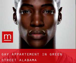 Gay Appartement in Green Street (Alabama)