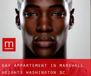 Gay Appartement in Marshall Heights (Washington, D.C.)