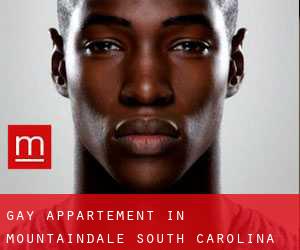 Gay Appartement in Mountaindale (South Carolina)