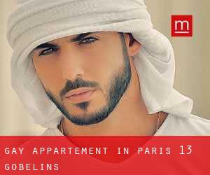 Gay Appartement in Paris 13 Gobelins