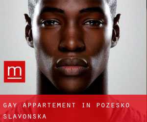 Gay Appartement in Požeško-Slavonska
