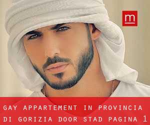 Gay Appartement in Provincia di Gorizia door stad - pagina 1