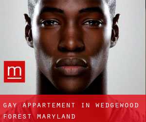 Gay Appartement in Wedgewood Forest (Maryland)