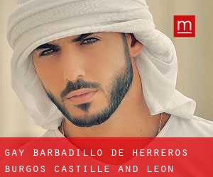 gay Barbadillo de Herreros (Burgos, Castille and León)