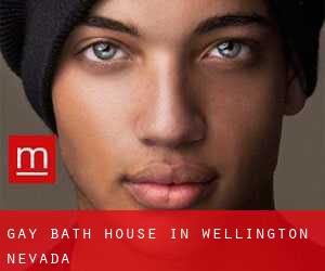 Gay Bath House in Wellington (Nevada)