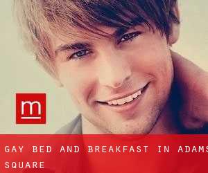 Gay Bed and Breakfast in Adams Square