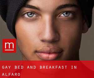 Gay Bed and Breakfast in Alfaro