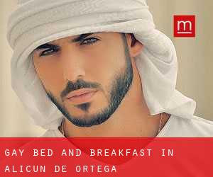 Gay Bed and Breakfast in Alicún de Ortega