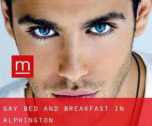 Gay Bed and Breakfast in Alphington