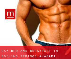 Gay Bed and Breakfast in Boiling Springs (Alabama)