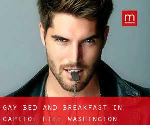Gay Bed and Breakfast in Capitol Hill (Washington)