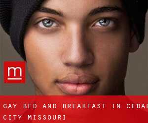 Gay Bed and Breakfast in Cedar City (Missouri)