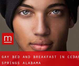 Gay Bed and Breakfast in Cedar Springs (Alabama)