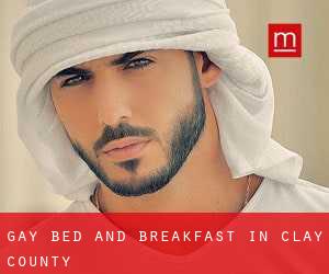 Gay Bed and Breakfast in Clay County