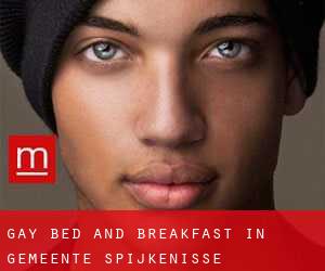 Gay Bed and Breakfast in Gemeente Spijkenisse