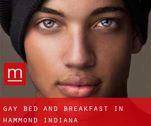 Gay Bed and Breakfast in Hammond (Indiana)