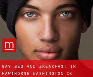 Gay Bed and Breakfast in Hawthorne (Washington, D.C.)