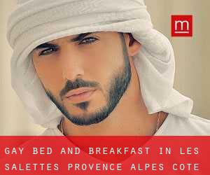 Gay Bed and Breakfast in Les Salettes (Provence-Alpes-Côte d'Azur)